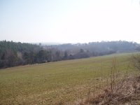 Olympus Camedia C-470 Zoom: Americký D-590