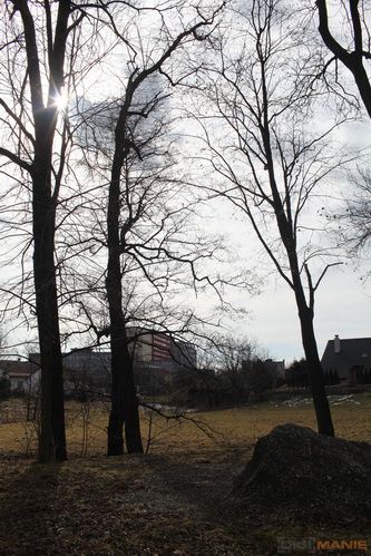 Canon EF 35mm f/1.4L USM