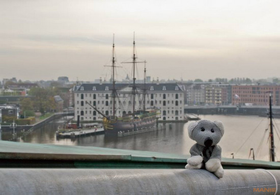 Koala cestuje: Eindhoven a Amsterdam v Holandsku