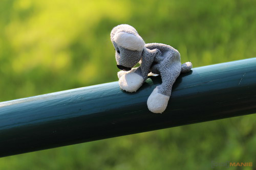 Fotíme s Koalou: Expoziční čas