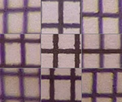 Panasonic Lumix TZ30: pokračovatel slavného rodu?