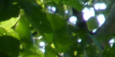 Panasonic Lumix TZ30: pokračovatel slavného rodu?