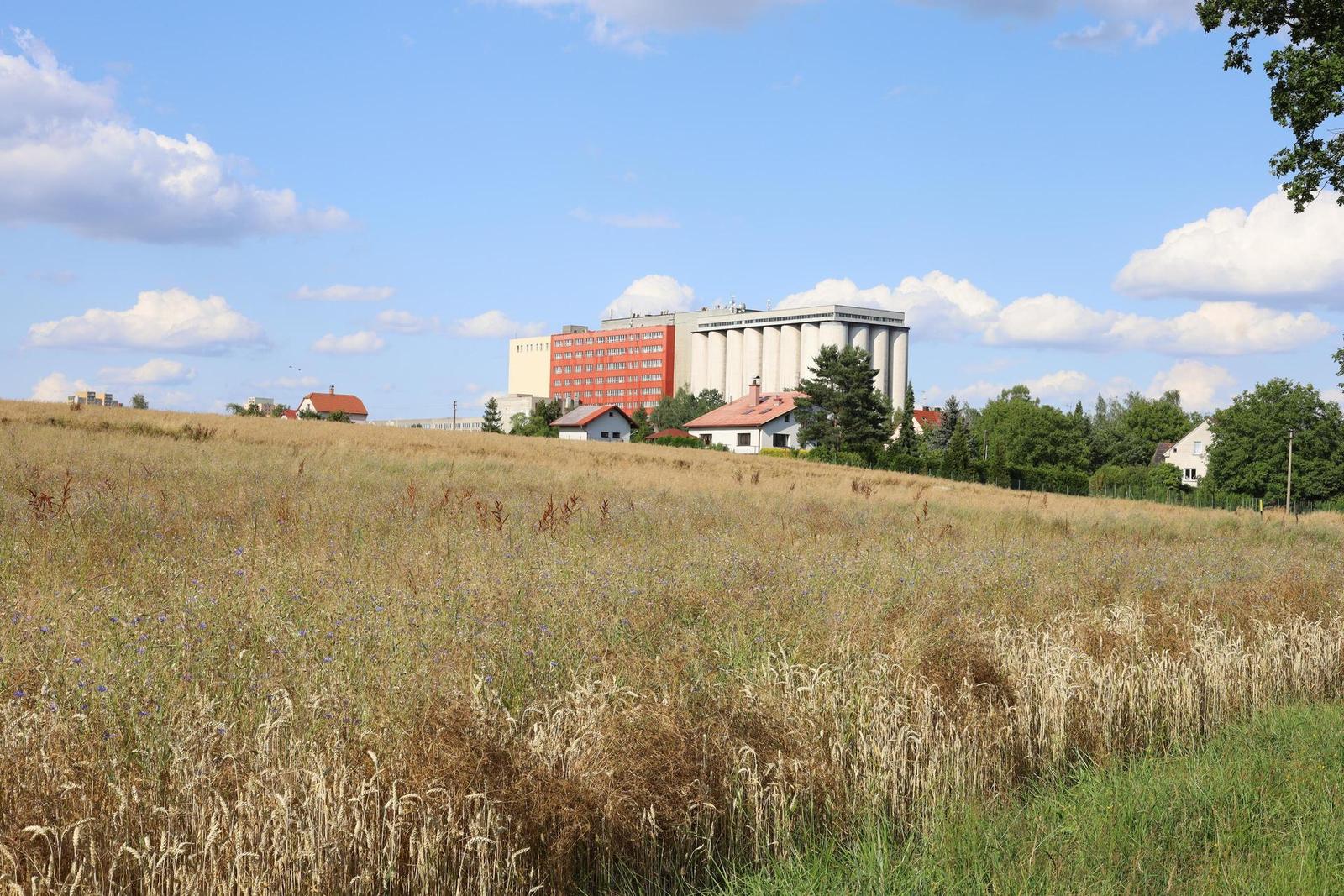 Canon EF 50mm f/1.4 USM