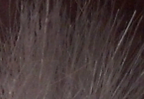 Genius G-Shot 510: vodník za pár korun