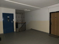 Fujifilm X-S1: jedinečný