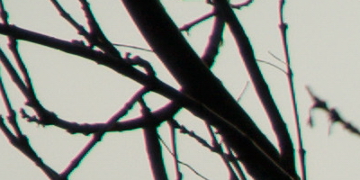 Sony SAL-70400G (70-400mm F4-5,6 SSM G)