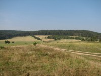 Canon PowerShot S2 IS: dvanáctinásobné oko Canonovo