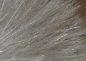 Samsung WB210: dotkněte se 21 milimetrů!