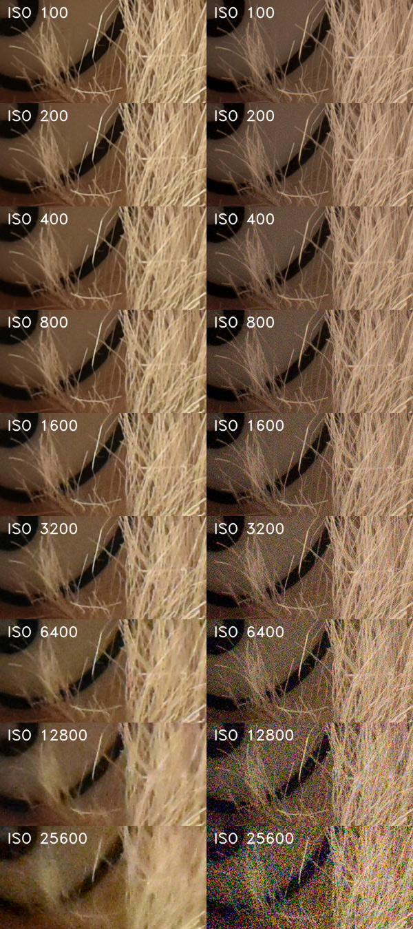 Nikon D5600: zrcadlo stále žije