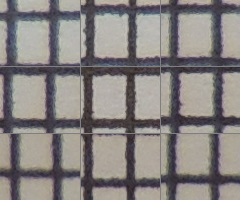 Nikon Coolpix P510: lovec rekordů