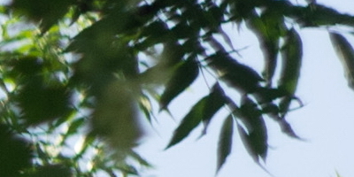 Helios-44M 58mm F2.0 (M42)