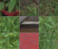 Panasonic Lumix G Vario 100-300mm F4-5,6