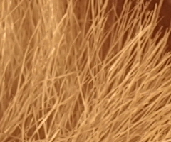 Samsung NX100: "zrcadlovka" do kapsy