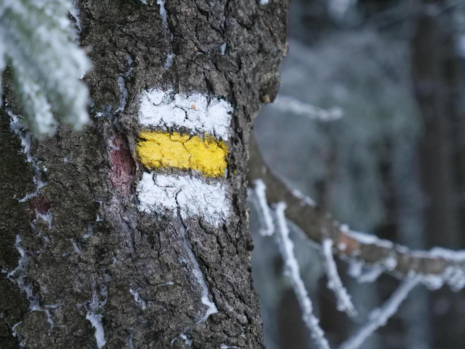 Panasonic Lumix G9: skutečně výborný