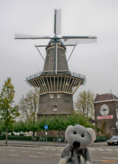 Koala před větrným mlýnem v Amsterdamu
