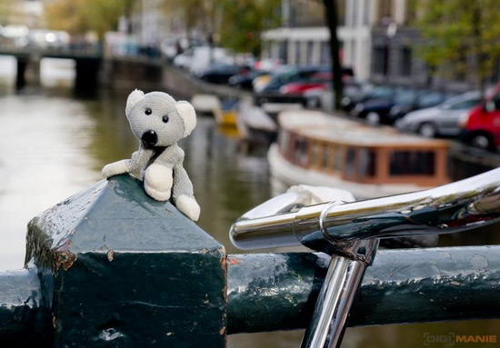 Koala v Amsterdamu, bicykly, kanály, lodě