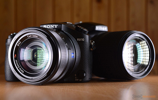 Sony RX10 vs Nikon D3300
