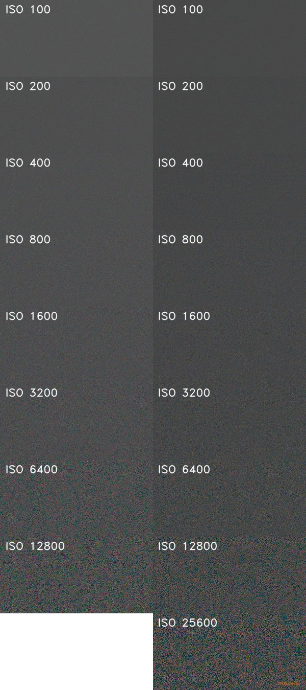 Canon EOS 1300D vs Nikon D3400 ISO bílá plocha