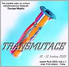 Tomáš Malý: Výstava "Transmutace" ve dnech 10. - 12. 5. 2005