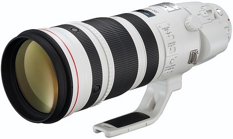 Canon EF 200-400mm 1:4L IS USM Extender 1.4x